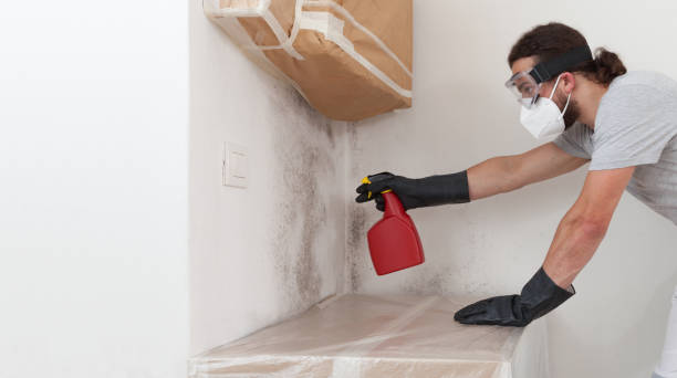 Professional Mold Remediation technician working in Islip Terrace, NY